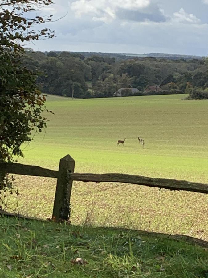 Bootmenders B&B Petersfield Esterno foto